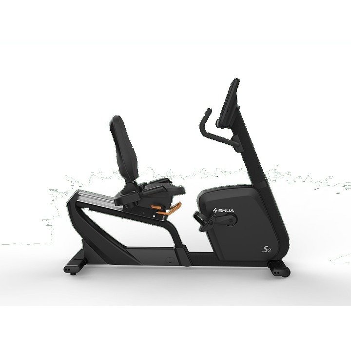 S2 Series Recumbent Bike SH-B9100R