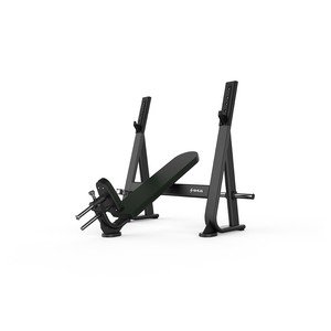 Olympic Incline Bench SH-G6373