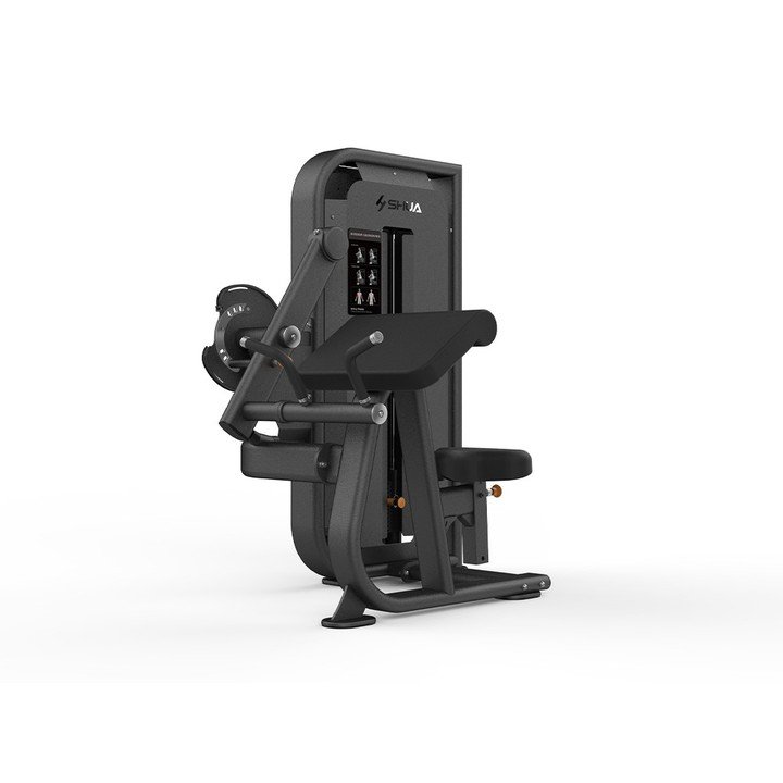 Seated Biceps Curl/Triceps Press SH-G6822