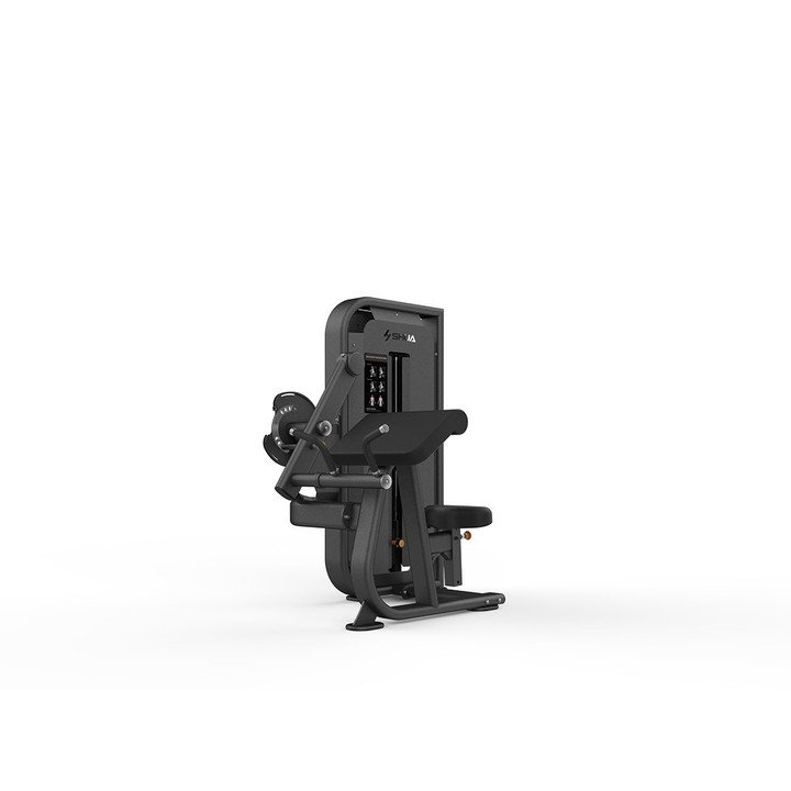 Seated Biceps Curl/Triceps Press SH-G6822