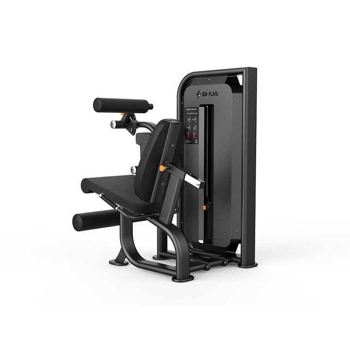 Seated Leg Curl/Extension SH-G6823