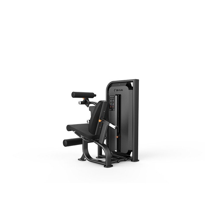Seated Leg Curl/Extension SH-G6823